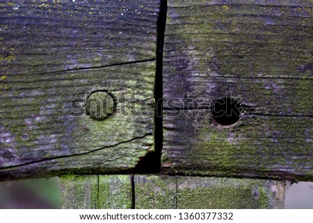 old vintage wood timber moss wallpaper texture
