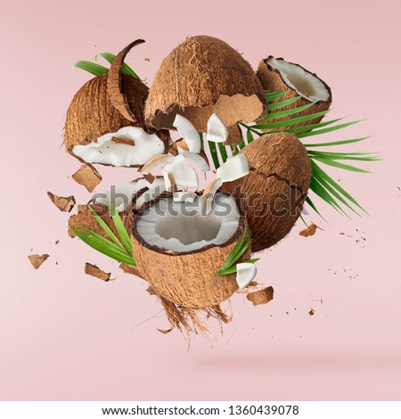 Flying in air fresh ripe whole and cracked coconut with palm leaves isolated on pastel pink background. High resolution image, 3d concept