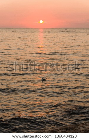 Sunset over Adriatic sea Plava Laguna beach Tisno Croatia