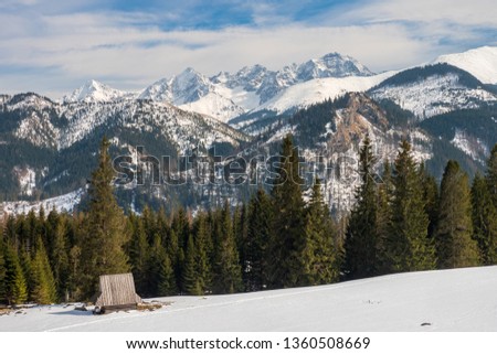 
mountain winter landscape tatry view from rusinowa glade