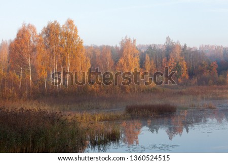 Foggy morning view of a small lake in Latgale region, Latvia