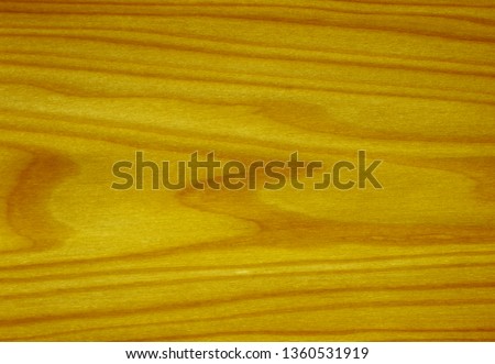Various kinds of natural wood veneer samples