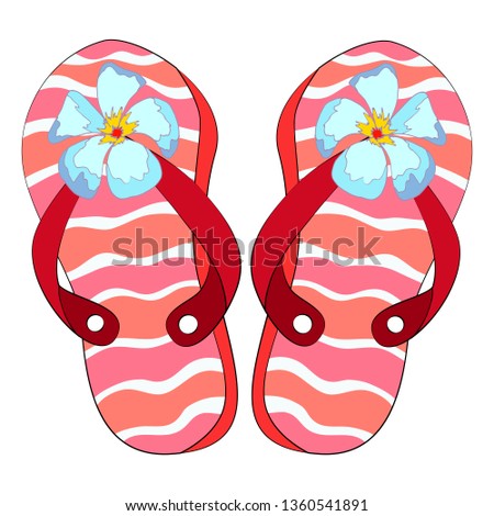beach sandals, isolate on a white background