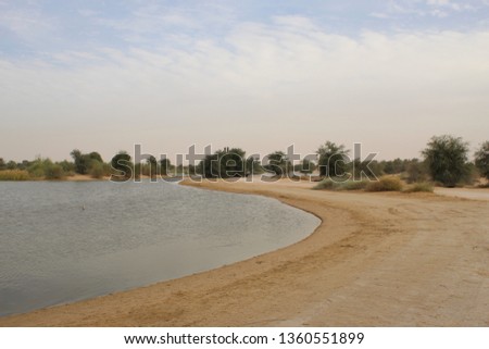 Landscape picture taken in Qudra lake (Dubai)