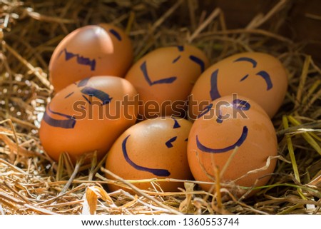 Close up group of eggs that is written the face by pen on the nest and sunshine from the farm
