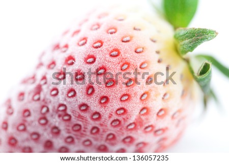big red strawberry in frost  isolated on white