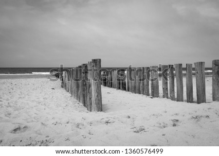 Black and white picture of beach poles wavebreaker on the beach of Domburg, Zeeland, the Netherlands