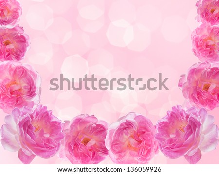 Beautiful pink roses in the form of frames. Background.