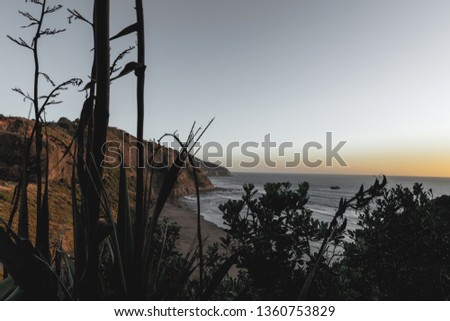 Coast Trees Sunset