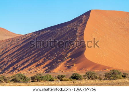 Sossusvlei sand dunes national parks of namibia between desert and savannah africa