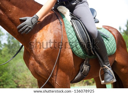 Clouse-up of woman rider and horse Royalty-Free Stock Photo #136078925