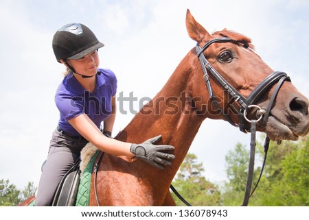 portrait of  a thoroughbred stallion Royalty-Free Stock Photo #136078943