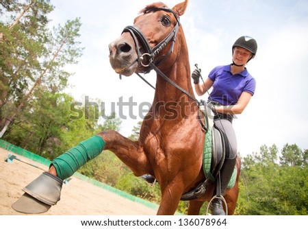  portrait of  a thoroughbred stallion Royalty-Free Stock Photo #136078964