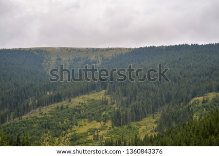 Mountain road tree landscape above blue gray foggy sky background