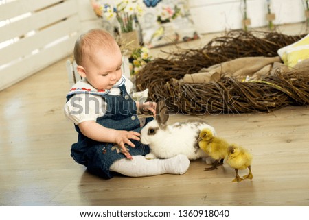 happy little girl is played with a cute fluffy white Easter bunny and ducklings.