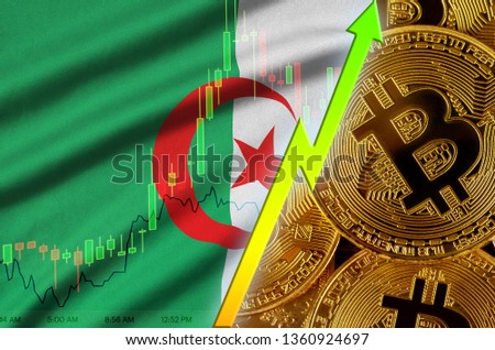 Algeria flag and cryptocurrency growing trend with many golden bitcoins