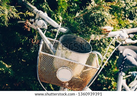 old decorative bicycle with basket and watering can in the garden