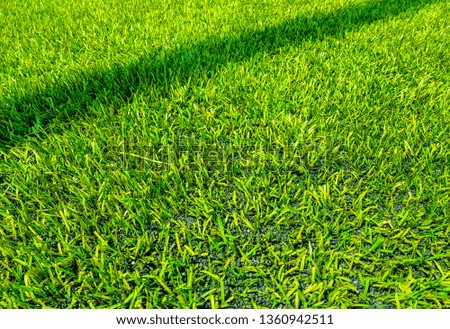 Artificial grass football pitch