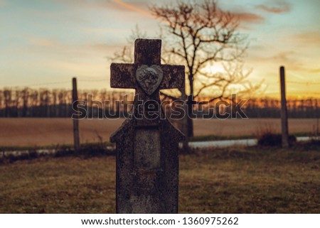 Dark photo of old and abandoned cross grave stone on European cemetery with tree and forest on background on sunset. Creepy and Illuminated tombstones on cemetery at evening with green grass.