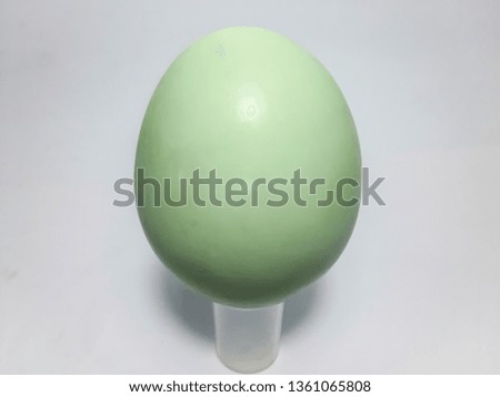 salted duck egg with white background