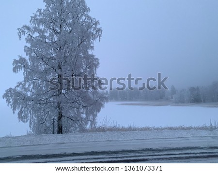 Frosty tree with a frozen lake background