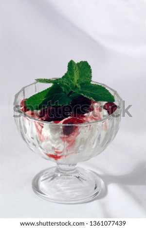 Delicious ice cream with forest fruit and mint leaves. Summer desert.