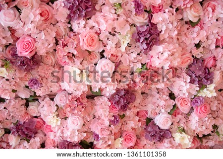 close up of colorful roses backdrop wall. Royalty-Free Stock Photo #1361101358
