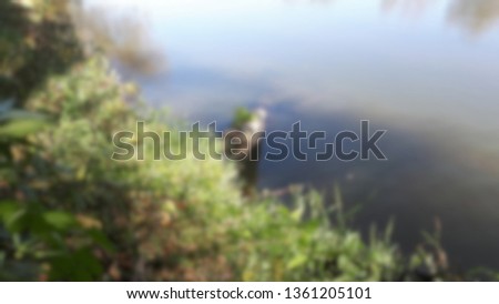 Blurred river in a sunny day. Defocused nature and water background