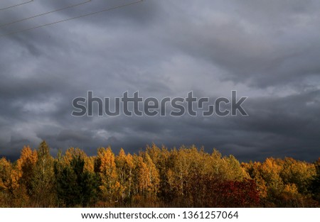 Dark sky with heavy rainy clouds and an autumn forest in the bottom of the picture