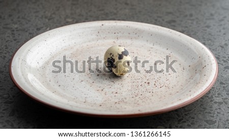 Quail Egg on the gray plate, eco product, Easter Holiday