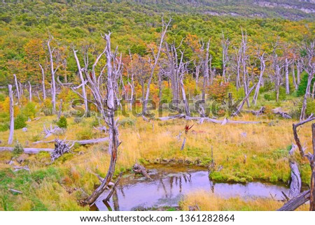 images of Tierra del Fuego national park