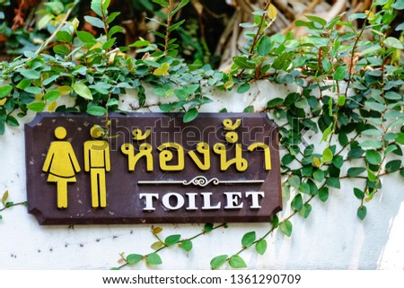 A wooden signboard of a toilet (Thai language means Toilet) with male and female signs on white cement wall and green ivy plant leaves background 