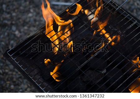 flames on the barbecue