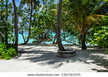 tropical beach in the Maldives