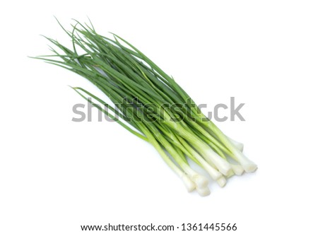 picture of fresh bunch of green onions or scallions placed on white background
