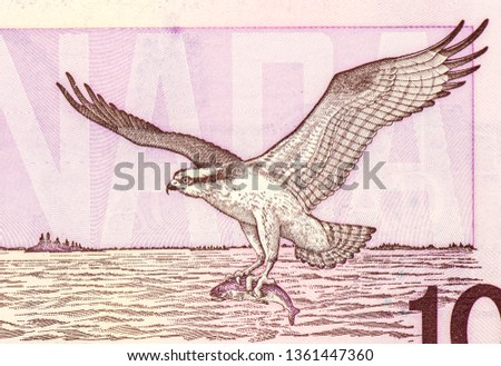 an Osprey flying over a lake has just caught a fish. Portrait from Canada 10 Dollar 1989 banknote, 