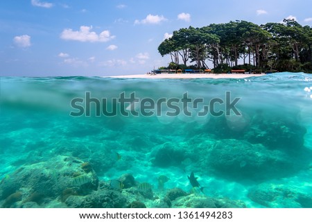 Over-under view of a tropical beach with lush tropical tree and sunlight on sandy seabed below water surface, Andaman and Nicobar Islands. Neil,Havelock. The concept of snorkeling and diving