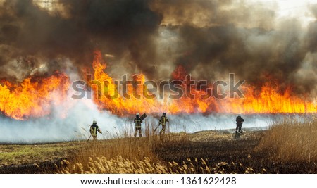Raging forest spring fires. Burning dry grass, reed along lake. Grass is burning in meadow. Ecological catastrophy. Fire and smoke destroy all life. Firefighters extinguish Big fire. Lot of smoke Royalty-Free Stock Photo #1361622428
