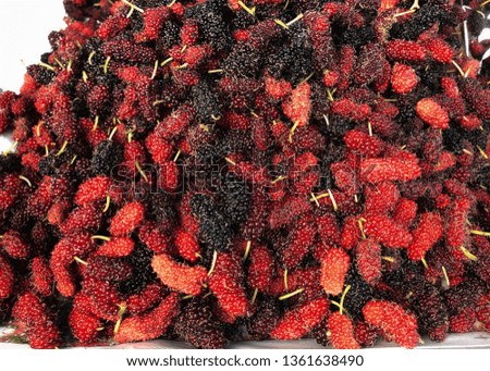 Tropical mulberry fruit Fresh organic mulberry, closeup background Small balls of Black Forest Berry Tropical mulberry fruit