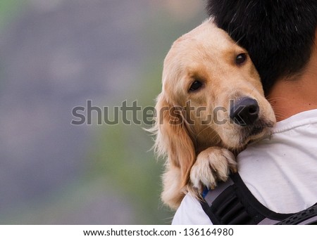 Dog on a man shoulders Royalty-Free Stock Photo #136164980