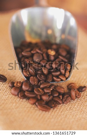 Close up spatula with coffee beans near special equipment.