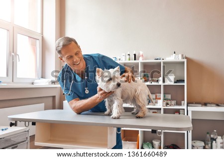 My cute patient. Cheerful middle aged vet looking with smile at small dog standing on the table at veterinary clinic