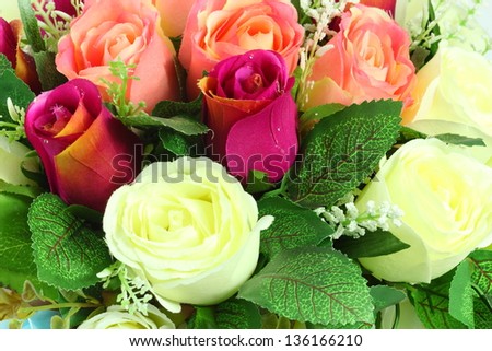 colorful roses, beautiful flower bouquet on white background