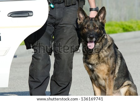 A police dog next to his handler and their patrol car. Royalty-Free Stock Photo #136169741