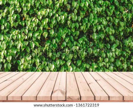 Old wood plank with abstract natural green leaves background for product display 