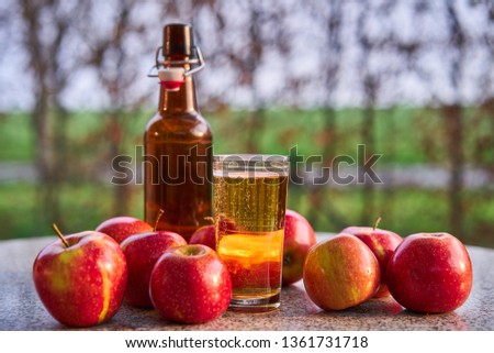 Rustic bottle and glass of fresh sparkling apple cider and red riped apples on the stone granit table in the garden restaurant during spring sunny evening, Picture taken in golden hour before sunset.