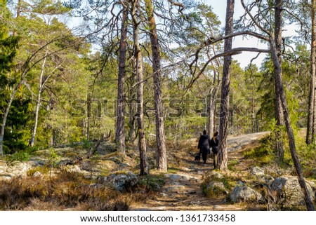 A walk a beautiful spring day in Tyresta National Park Royalty-Free Stock Photo #1361733458