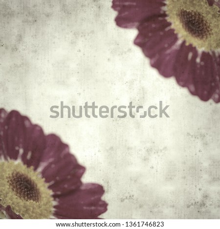 textured stylish old paper background, square, with dark red marguerite daisy