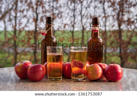 Still life picture on two glasses or jars full of organic sparkling apple cider and two rustic bottles, red riped apples on stone table around in the garden restaurant during summer sunny evening.  