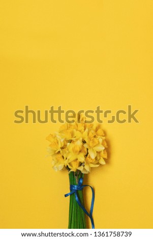Bouquet of fresh yellow daffodils in female hands on background with space for text